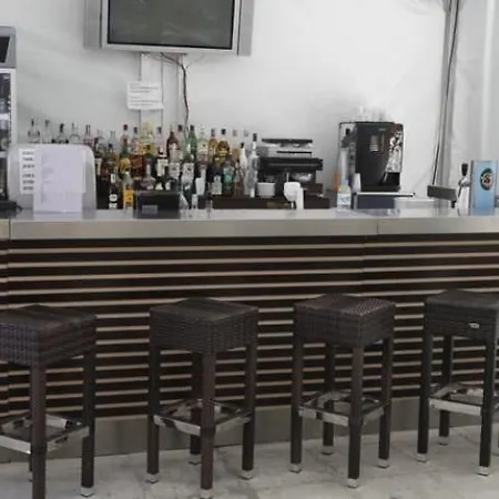 Gladiola Golden Sands