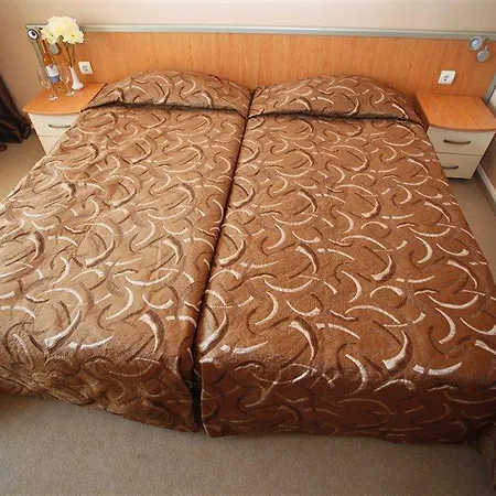 Gladiola Golden Sands