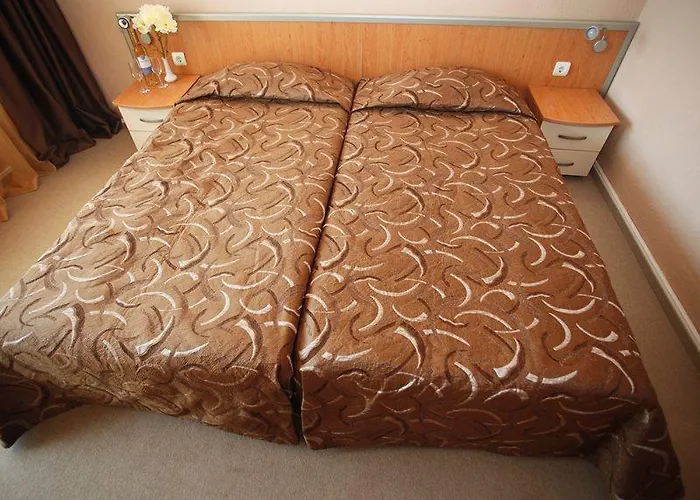 Gladiola Golden Sands